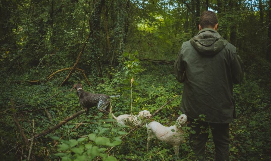 Paladini: Truffle Hunting Tour with 3-Course Tasting Menu - Watching scrambled eggs made with fresh truffles