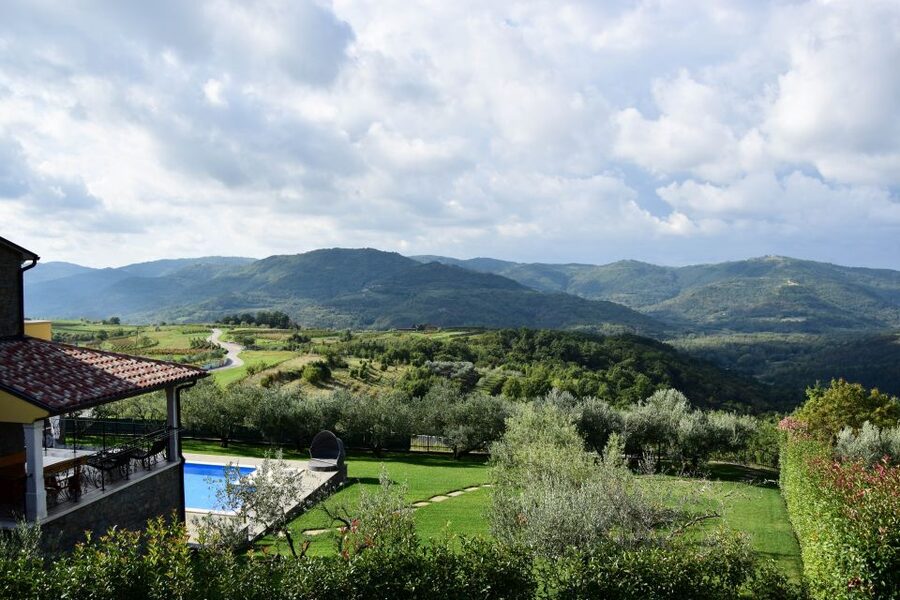 Paladini: Truffle Hunting Tour with 3-Course Tasting Menu - Homemade wine and truffle products