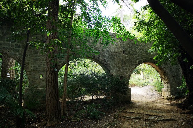 Panorama Dubrovnik & Arboretum Trsteno PRIVATE TOUR - Timing, weather, and comfort