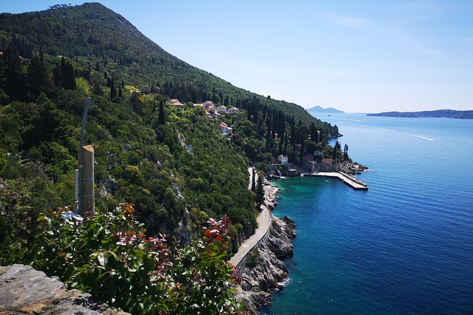 Panorama Dubrovnik & Arboretum Trsteno PRIVATE TOUR - Who should book this Dubrovnik outing?