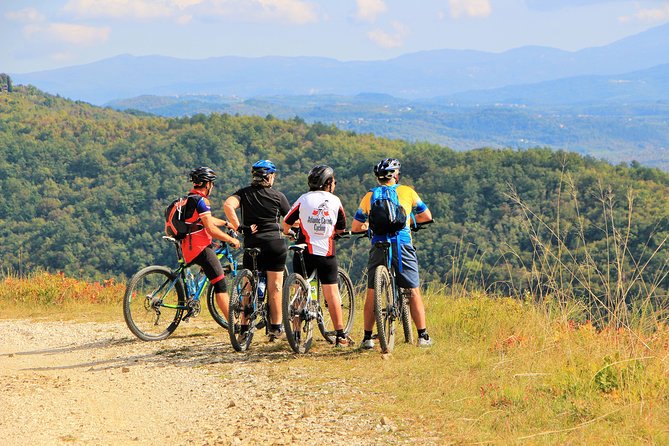Parenzana Trail Full Day Cycling Tour from Pula, Rovinj, Poreč or Buje - Crossing the river and climbing toward Motovun