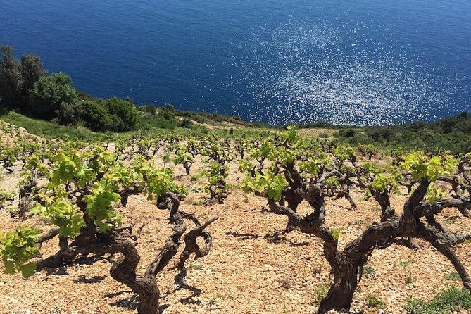 Peljesac and Ston Private Wine Tour with Tastings from Dubrovnik - Mali Ston and the oyster country of the bay