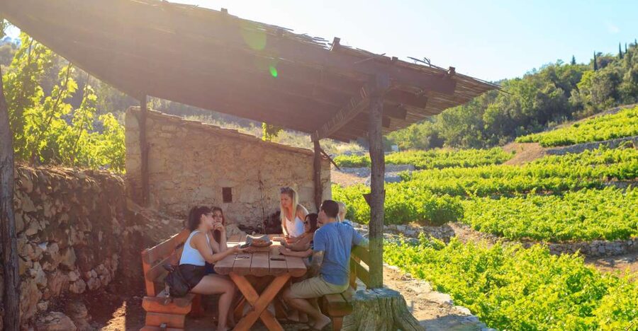 Pelješac Full-Day Wine and Food Tour from Dubrovnik - Ston’s walls, salt, and first taste of the sea