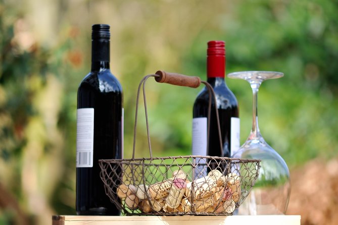 Peljesac Peninsula Wine Tasting Luxury Tour from Dubrovnik - The private Mercedes-Benz advantage
