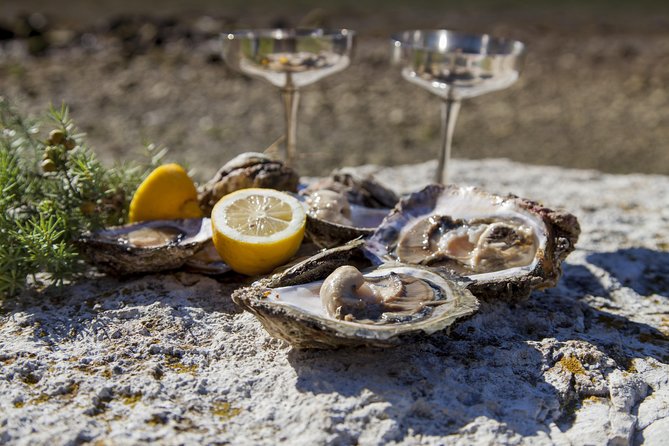 Peljesac Peninsula Wine Tasting Luxury Tour from Dubrovnik - Is $668.28 good value?