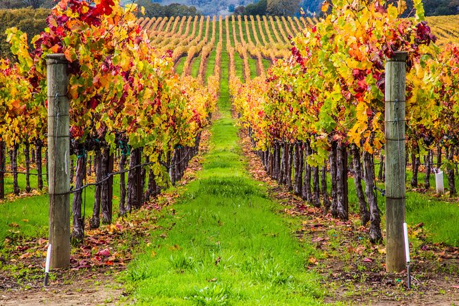 Peljesac Peninsula Wine Tasting Luxury Tour from Dubrovnik - Who should book this Peljesac tour?