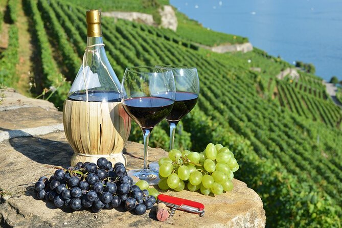 Peljesac Vineyards & Oysters - Private Day Trip from Dubrovnik-Mercedes Vehicle - Key points to know before you book