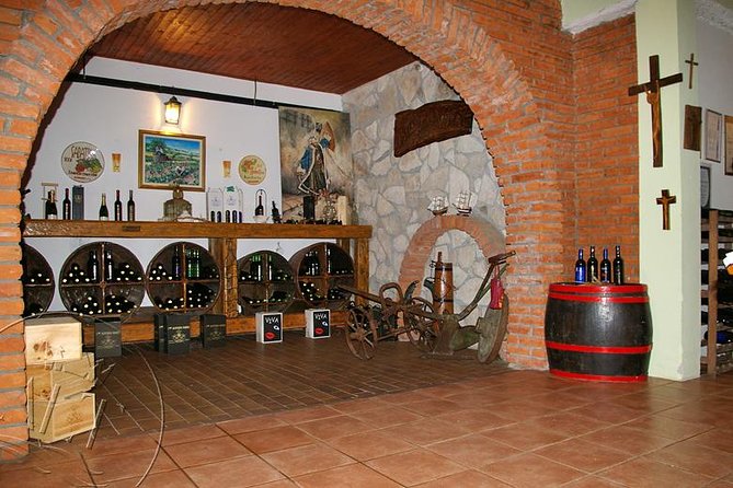 Peljesac Vineyards & Oysters - Private Day Trip from Dubrovnik-Mercedes Vehicle - Optional oysters and a boat ride from Ston