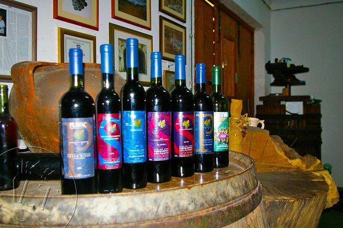 Peljesac Vineyards & Oysters - Private Day Trip from Dubrovnik-Mercedes Vehicle - What the private format adds
