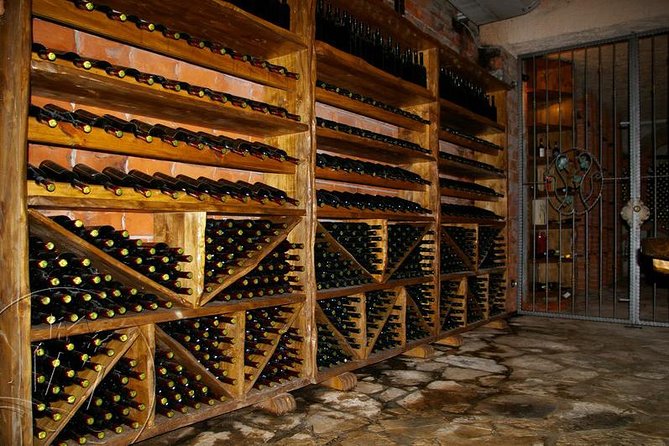 Peljesac Vineyards & Oysters - Private Day Trip from Dubrovnik-Mercedes Vehicle - Timing, weather, and what to bring