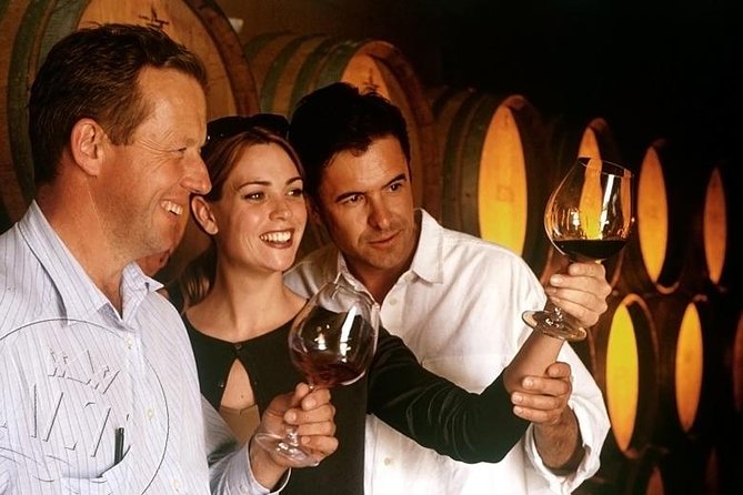 Peljesac Vineyards & Oysters - Private Day Trip from Dubrovnik-Mercedes Vehicle - Who will enjoy this Peljesac day trip