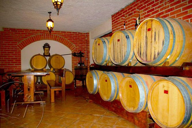 Peljesac Vineyards & Oysters - Private Day Trip from Dubrovnik-Mercedes Vehicle - Ston walls and salt flats in 30 minutes
