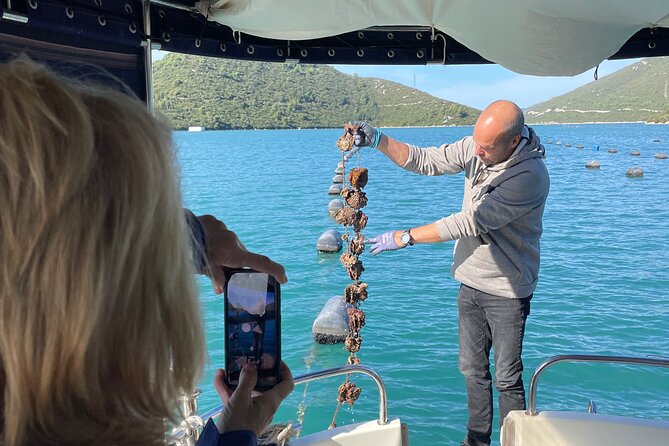 Pelješac - Wine, Oysters and Food Experience from Dubrovnik - Key points before you book