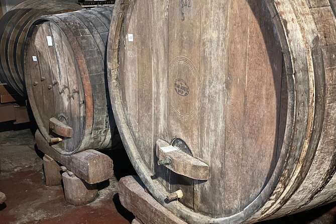 Pelješac - Wine, Oysters and Food Experience from Dubrovnik - Finishing above Dubrovnik on Mount Srđ