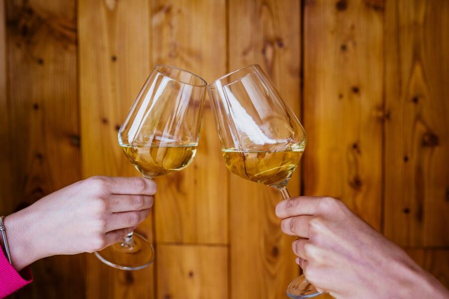 Pelješac wine tasting and local winery visit - Quick takeaways