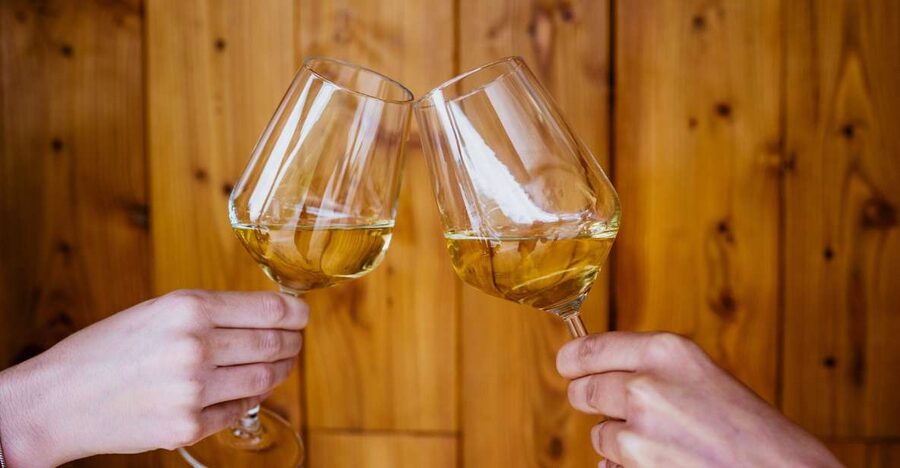 Pelješac wine tasting and local winery visit - The 90-minute visit, step by step