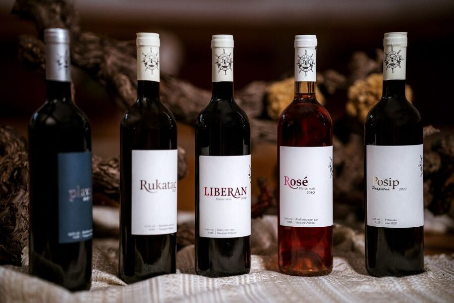 Pelješac wine tasting and local winery visit - Why Pelješac wine feels tied to place