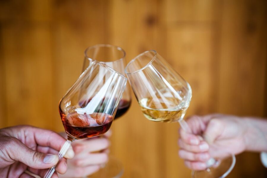 Pelješac wine tasting and local winery visit - Who will enjoy this tasting most