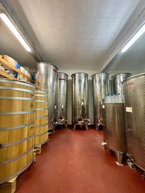Pelješac wine tasting and local winery visit - Practical timing and planning advice