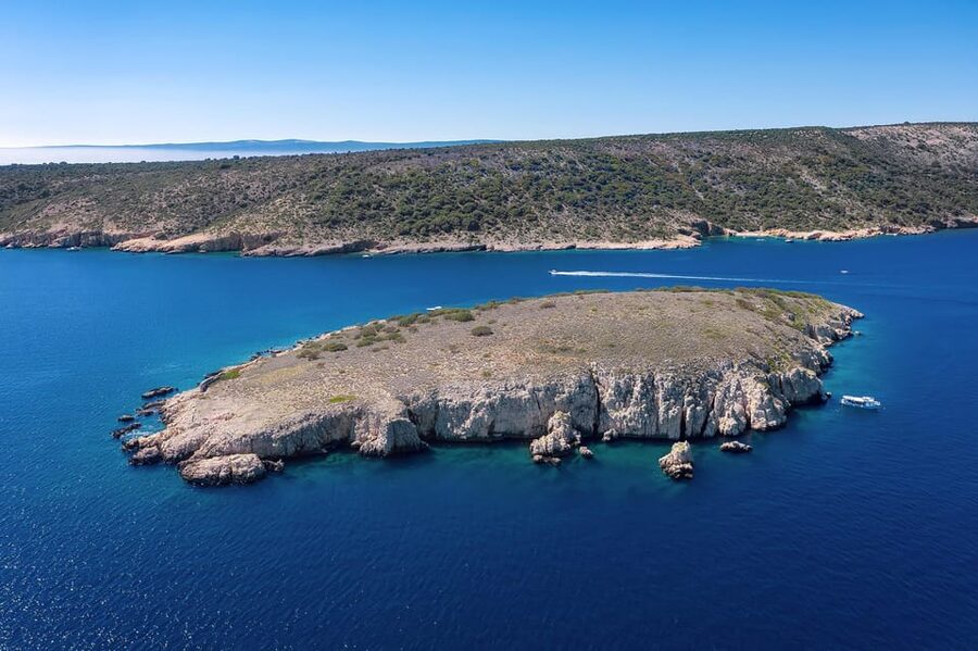 Plavnik Island: A public half day boat tour - Watching for griffon vultures