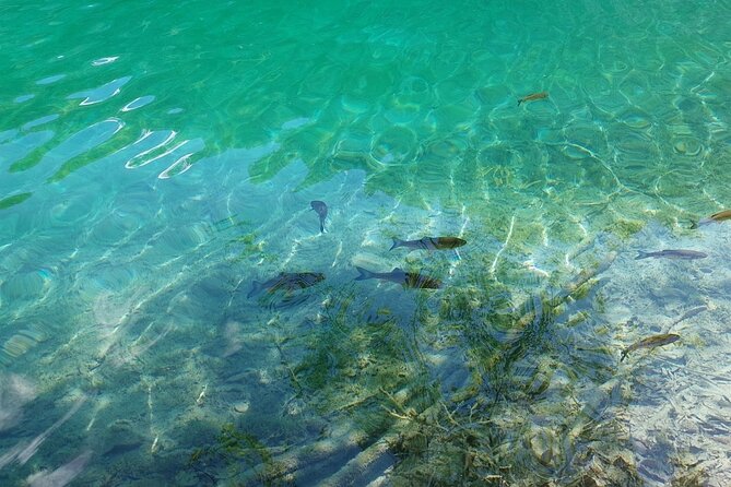 Plitvice Lakes Day Tour from Zadar, Simple and Safe - Choosing between Route B and Route C