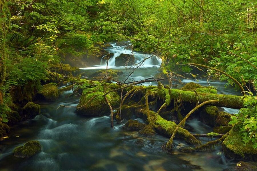 Plitvice Lakes Private Guided Tour - Who should book the private tour