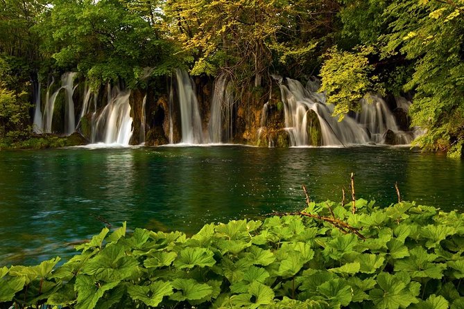 Plitvice Lakes Private Guided Walking Tour - Walking the Lower Lakes and Great Waterfall
