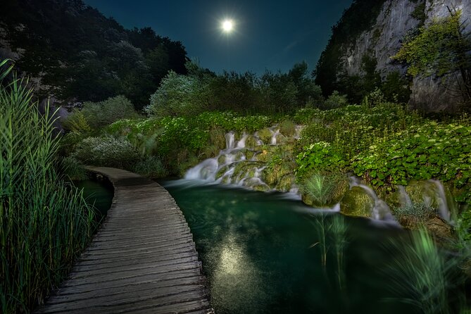 Plitvice Lakes Private Guided Walking Tour - The electric boat and panoramic train