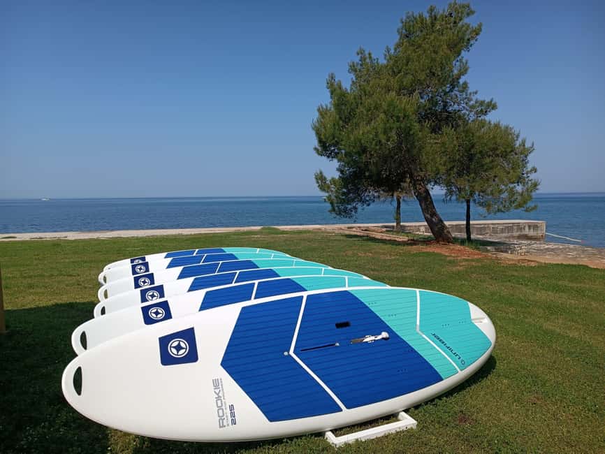 Poreč: 2-hour windsurfing lesson - Meeting at Pical Beach in Špadići