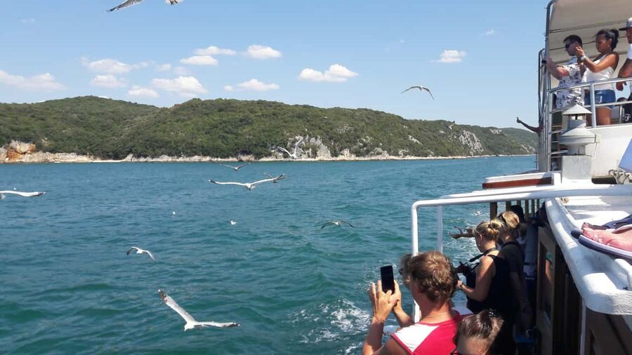 Poreč: Boat tour to Rovinj with lunch and drinks - Swimming time, with a practical catch