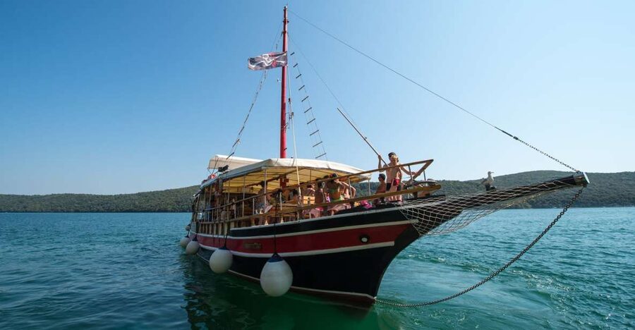 Poreč: Evening Boat Trip to Discover Dolphins - The dolphin search and what you may actually see