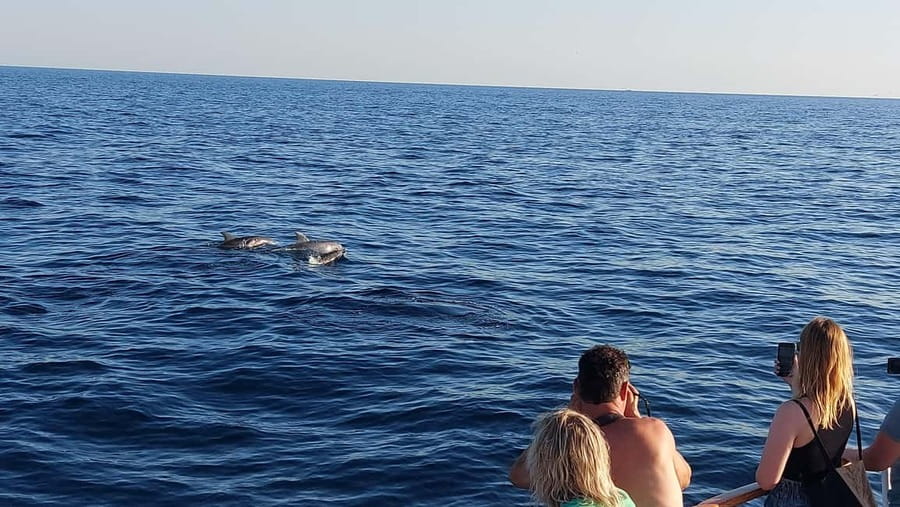 Poreč: Sunset Dolphin Safari with Dinner and Drinks - Sunset views with dinner on the Adriatic