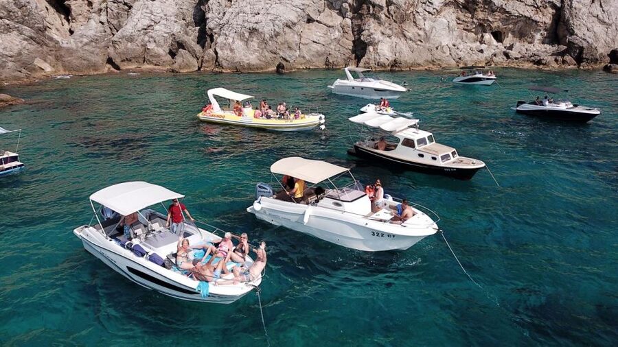 Private boat tour from Dubrovnik/Cavtat to Elafiti islands - Price, fuel, and overall value