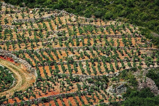 Private Boat Tour from Dubrovnik to Elaphiti Islands - Lopud village adds history without a forced schedule