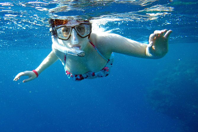 Private Boat Tours Dubrovnik Elaphiti islands & Blue cave - Šipan, Sudurad, and the choice of lunch