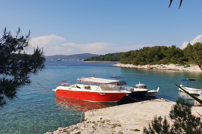 Private Custom Island Hopping Speedboat Tour from Hvar - Budikovac Blue Lagoon: the best swim break