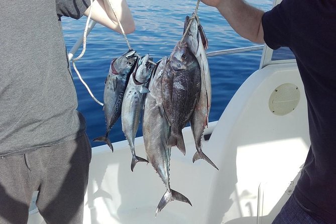 Private fishing tour - Leaving Dubrovnik from Lapadska obala 4