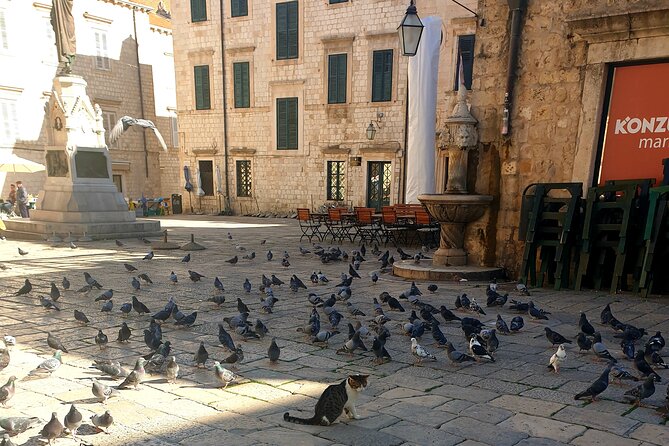 Private Fort Lovrijenac and Dubrovnik City Tour - Rector’s Palace explains the old republic