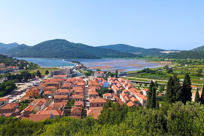 Private Full Day Peljesac Wine Tasting Tour from Dubrovnik - What makes the Dingac tasting special