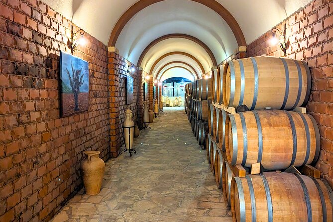Private Full Day Peljesac Wine Tasting Tour from Dubrovnik - Food, liqueurs, and the cost of a full day