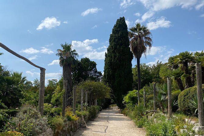 Private Game of Thrones Tour with King's Landing Garden - Trsteno Arboretum, the real King’s Landing garden