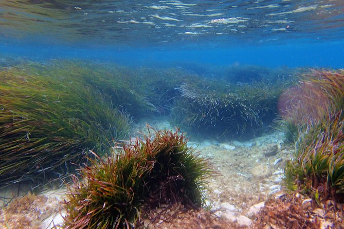 Private Half-Day Kayak Experience in Hvar and Pakleni Islands - How difficult is the paddling?