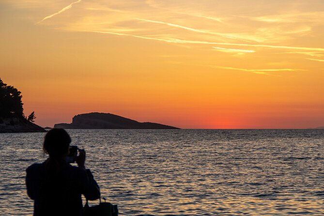 Private Half-Day Speedboat Guided Tour of Dubrovnik Islands - Choosing morning or afternoon