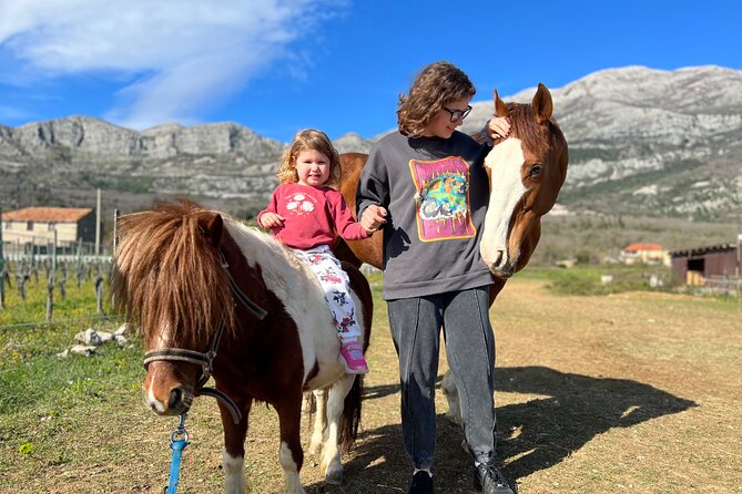 Private Horseback Riding and Family Time in Konavle Region - Who will enjoy this most