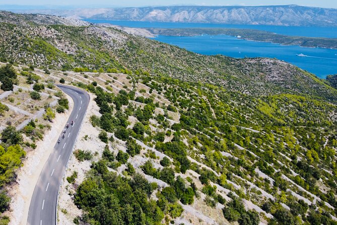 Private Hvar Island Bike Tour and Wine Tasting - Velo Grablje and the old lavender trade