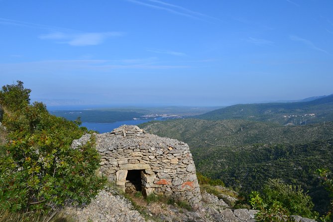 Private Hvar Island Tour and Olive Oil Tasting - What the private format adds