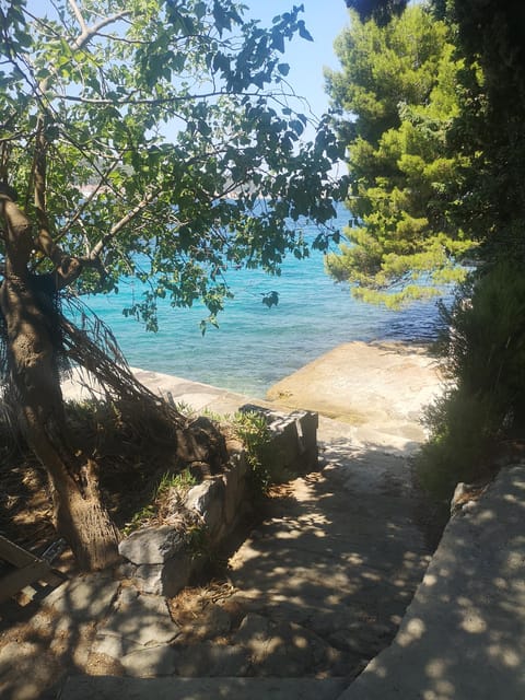 Private Island Hopping Boat tour around Zadar with Drinks - A route shaped by your group