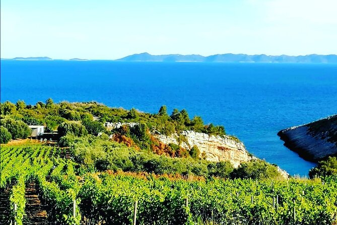 Private Korcula wine tour and tasting - Meeting guides with local connections
