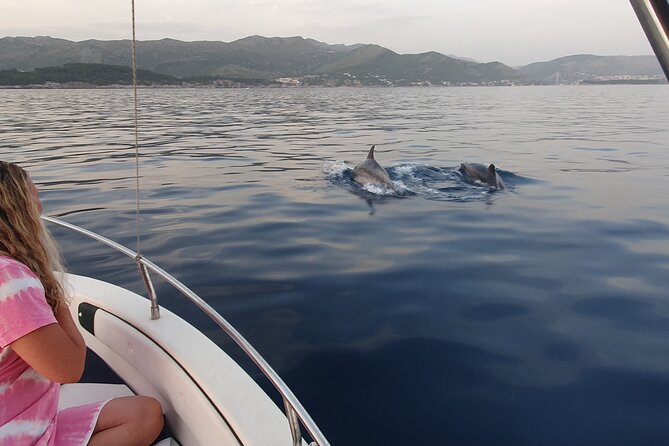 Private Local Guided Speedboat Tour in Dubrovnik Archipelago - Donje Čelo and the eastern side of Koločep