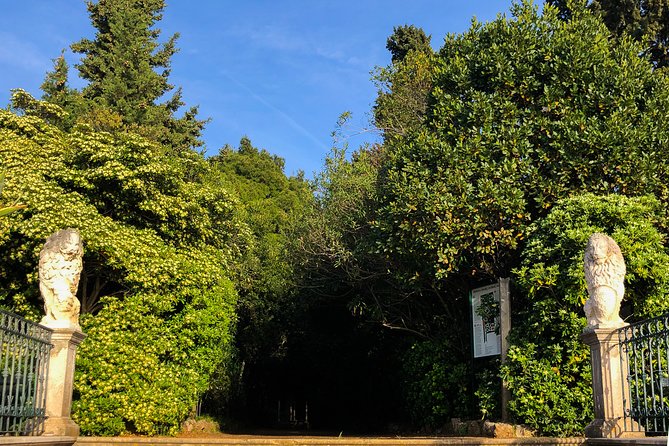Private Lopud Walking Tour - A walk shaped by Ružica’s guiding style